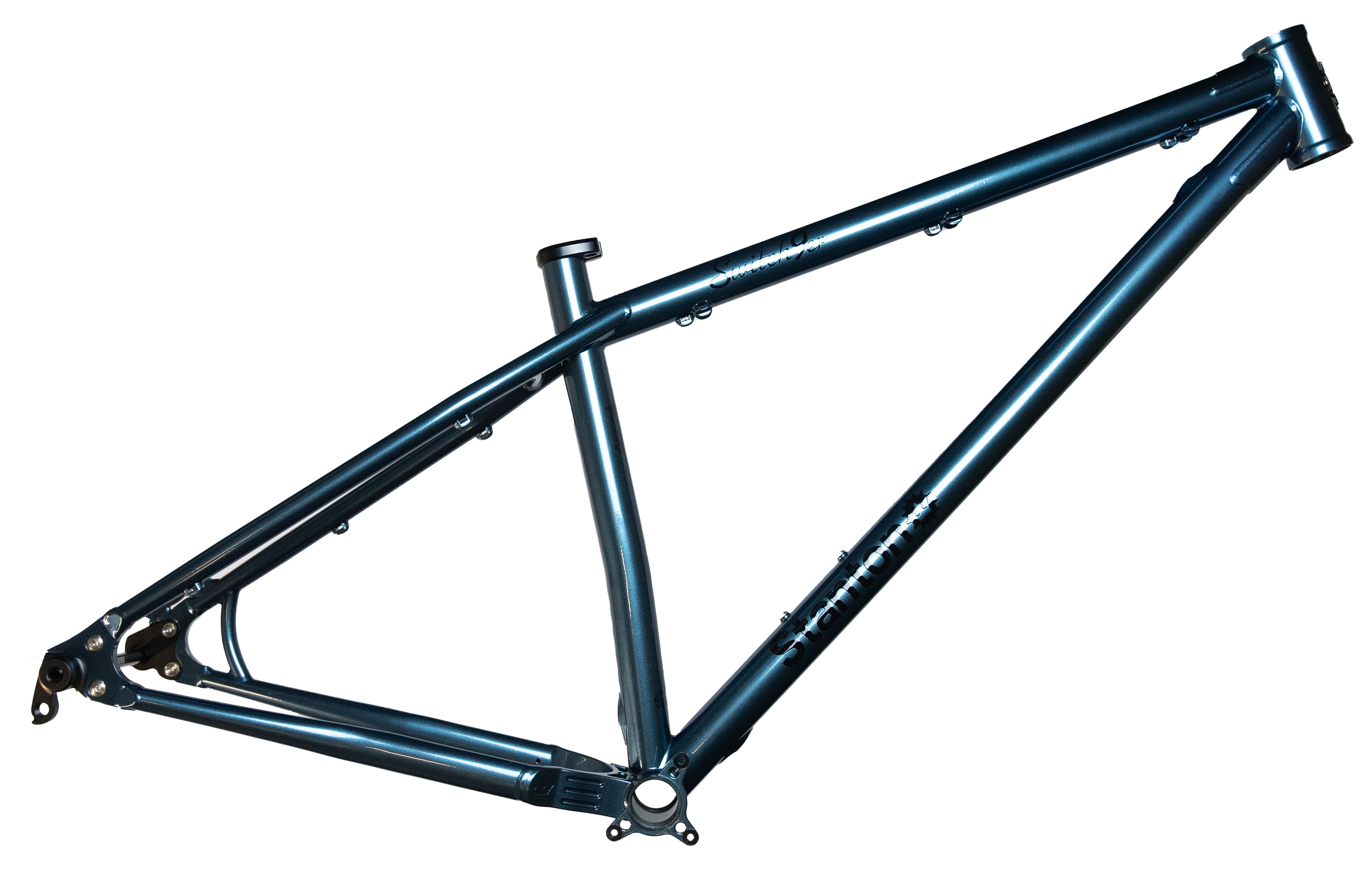 Stanton 2025 switch 29er